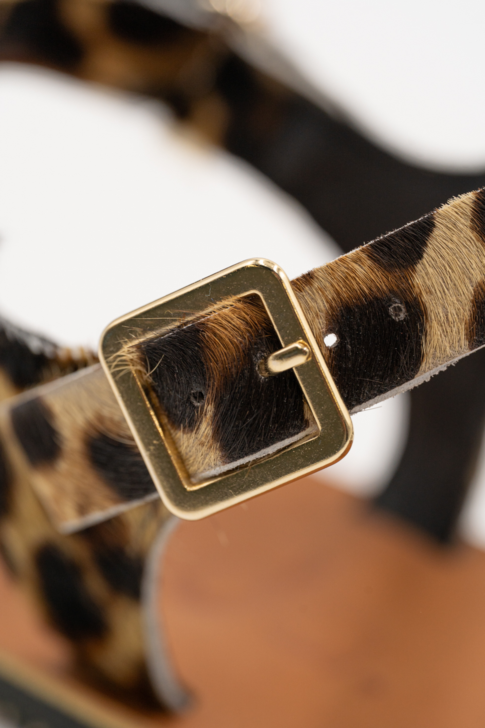Senda Leopard