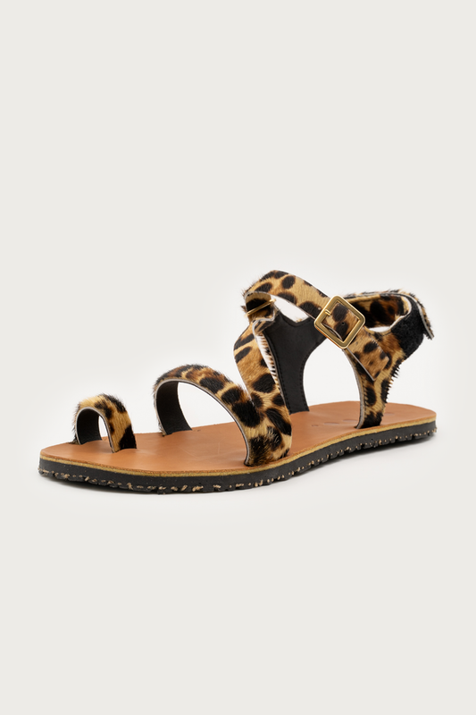 Senda Leopard